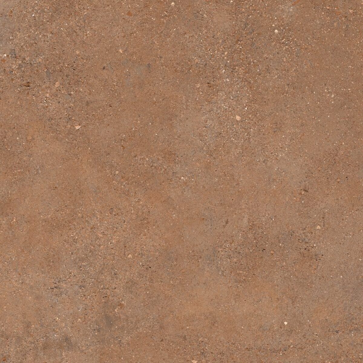 Sant’Agostino DUO AS 2.0 BACK COTTO STRUCT. main image