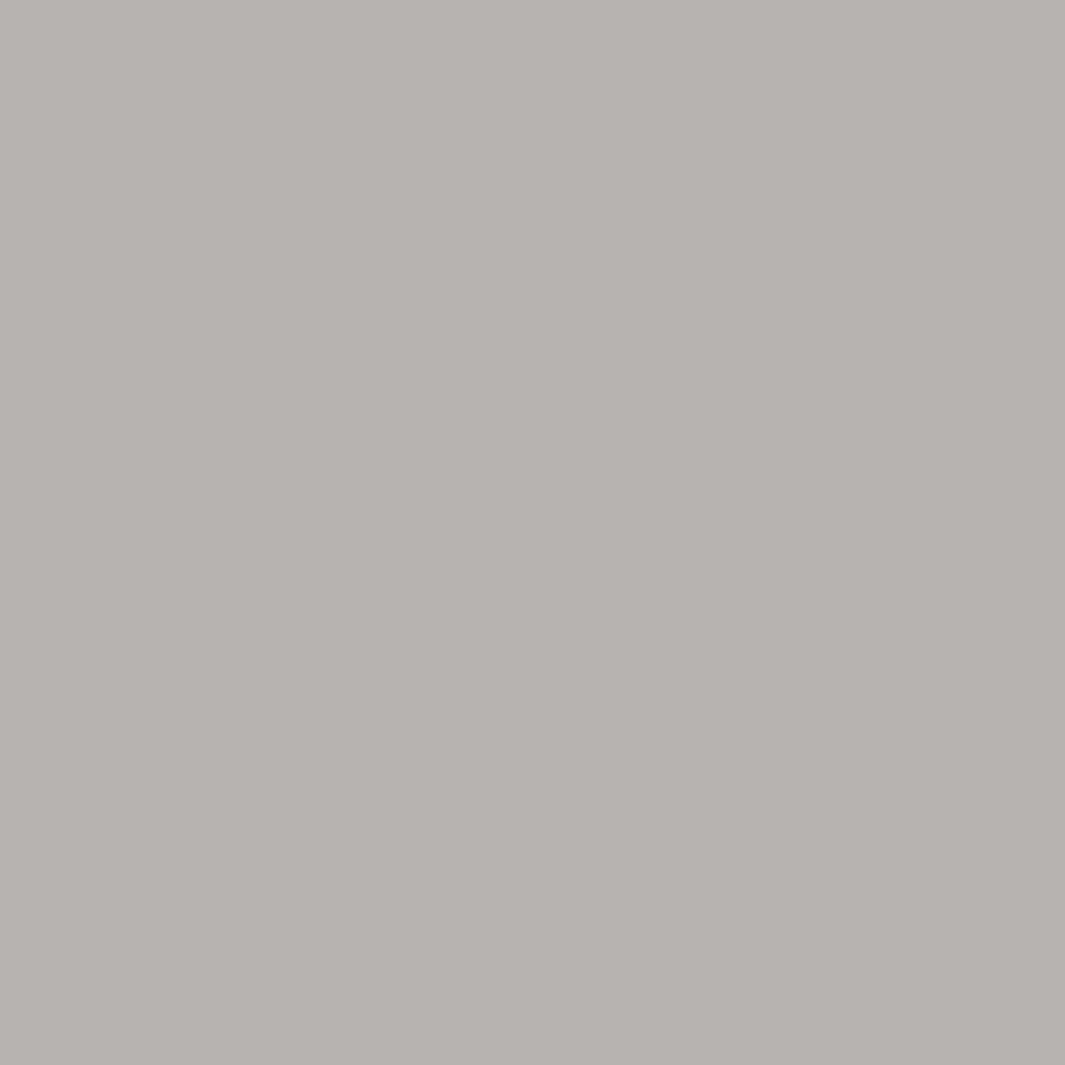 Lasselsberger COLOR ONE GRIJS BLINK. main image