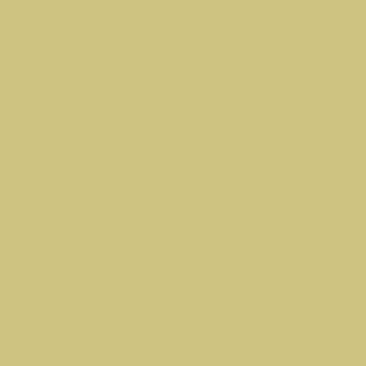 Lasselsberger COLOR ONE GEEL MAT main image
