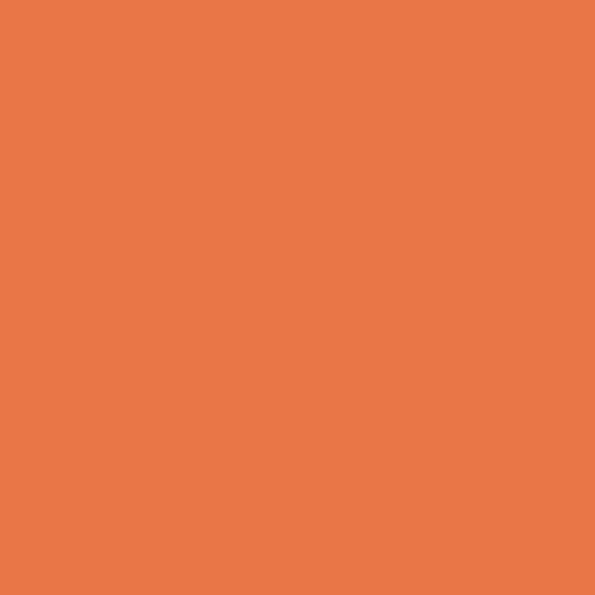 Lasselsberger COLOR ONE ORANJE MAT main image