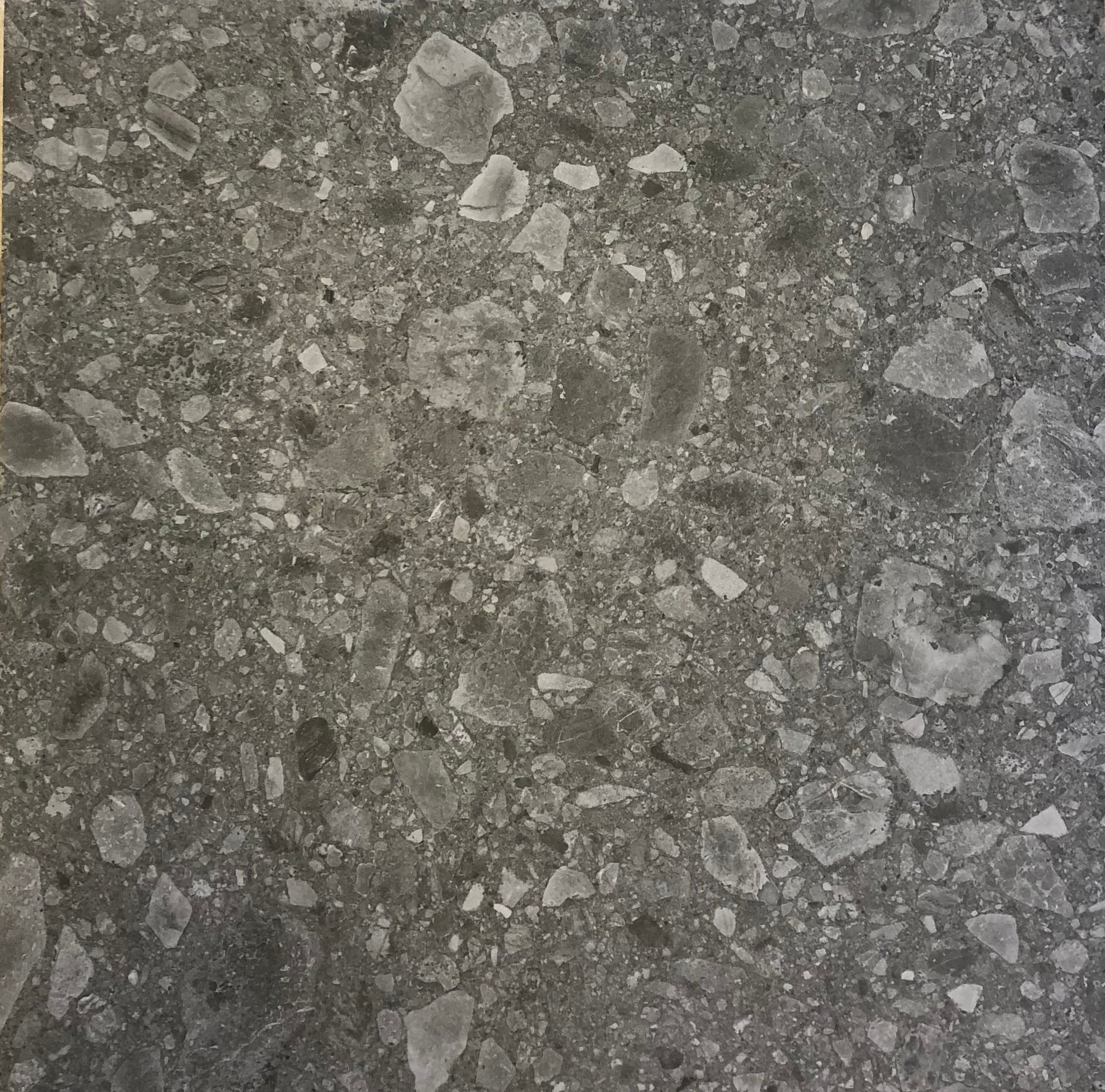 Cheppo Grey (1.44) main image