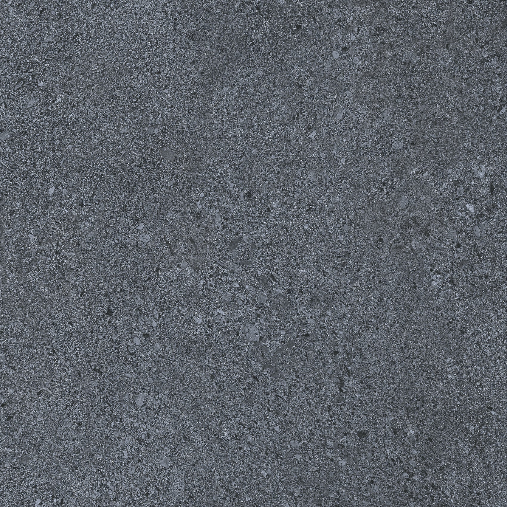 20Mm Dior Black main image