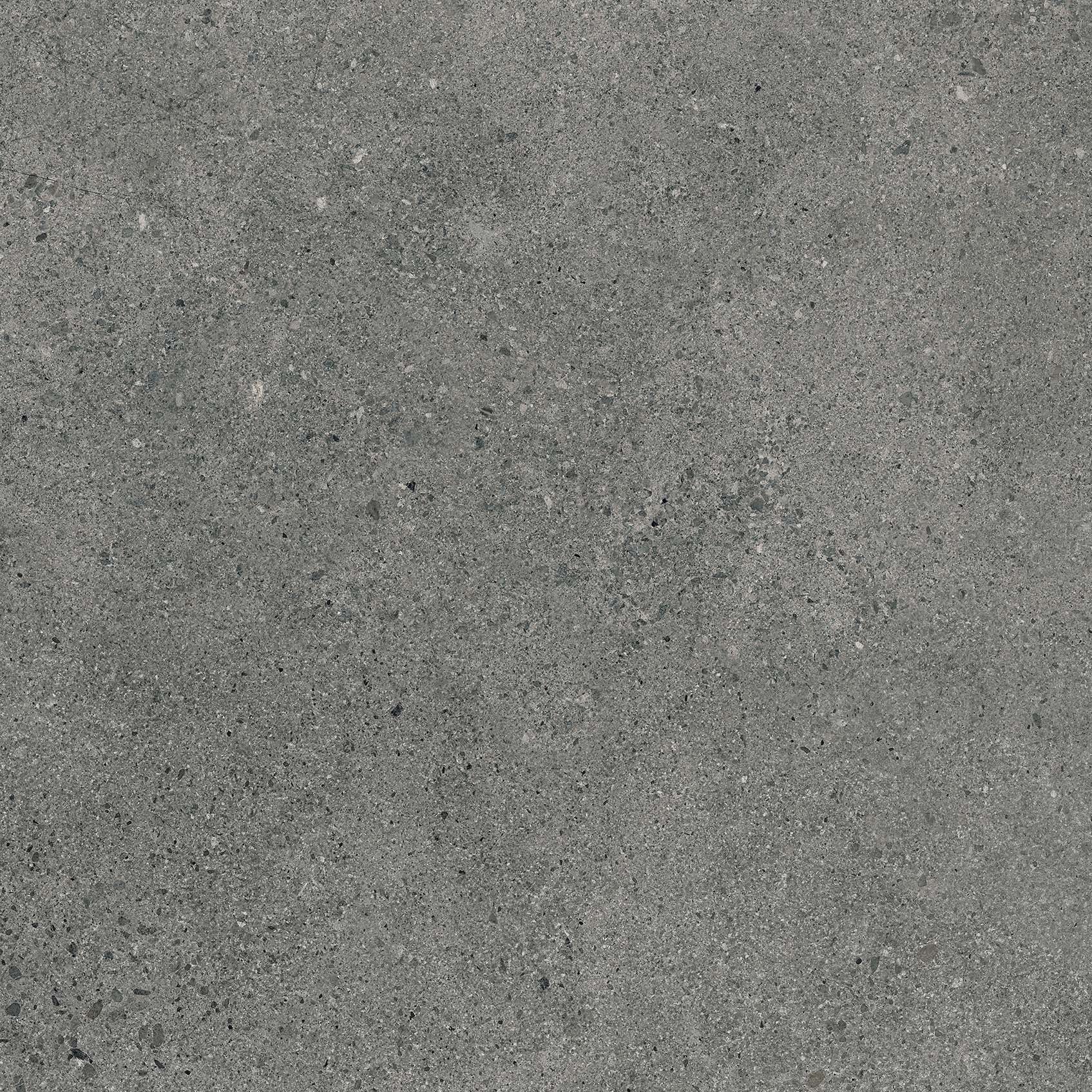 Authority Graphite main image