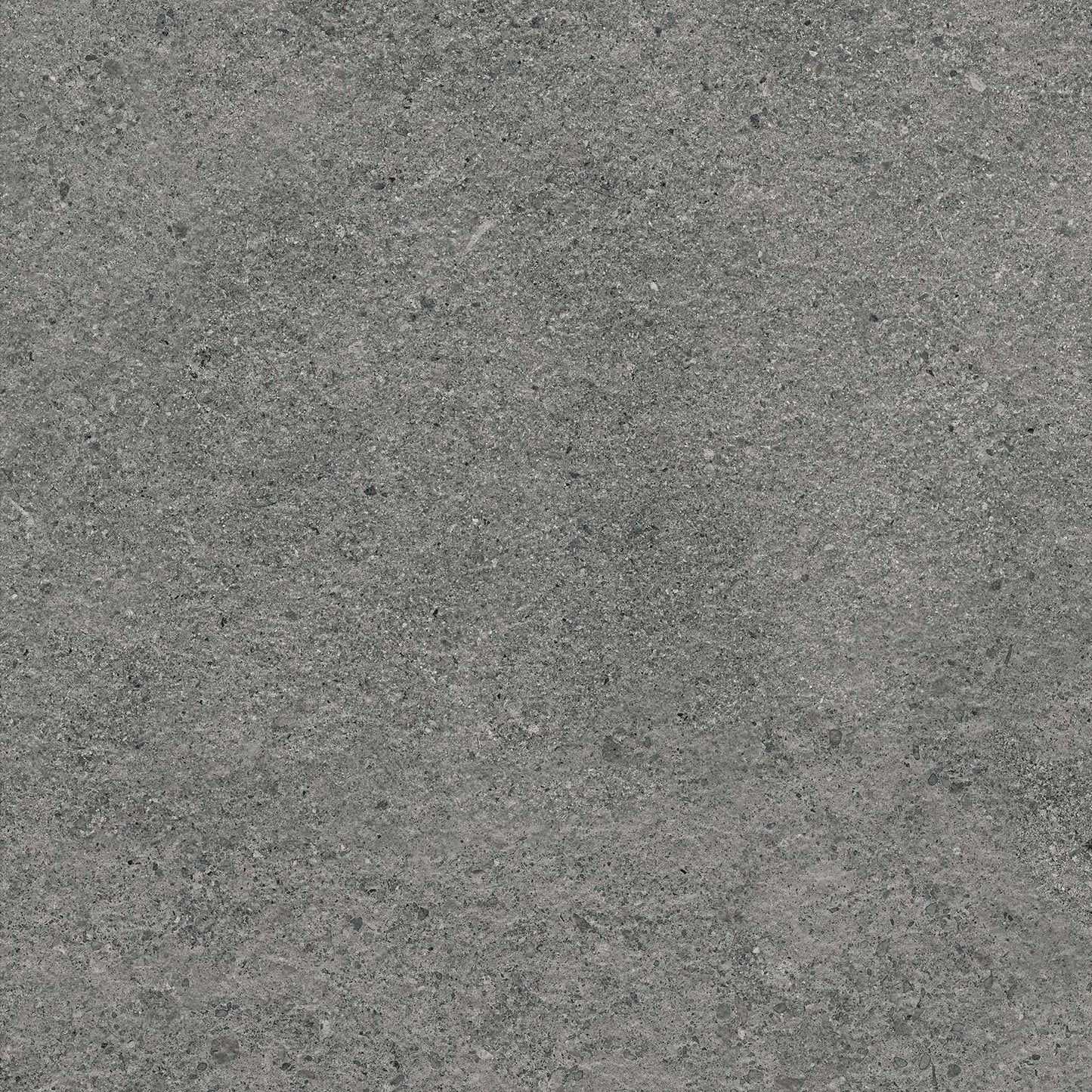 20Mm Authority Graphite