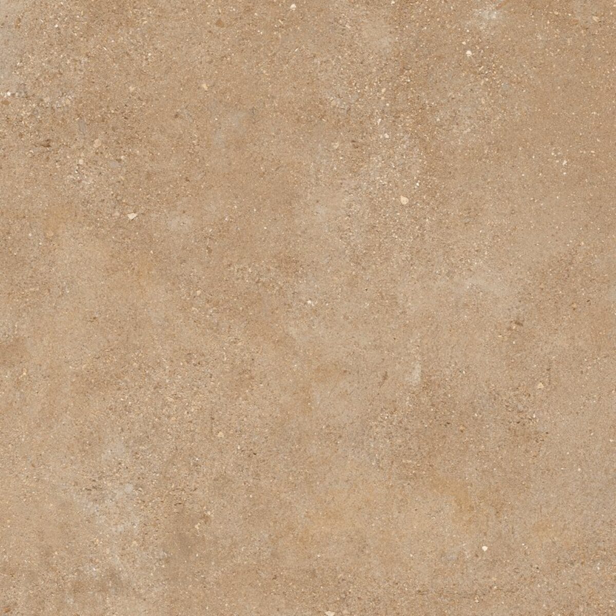 Sant’Agostino DUO AS 2.0 BACK CARAMEL STRUCT. main image