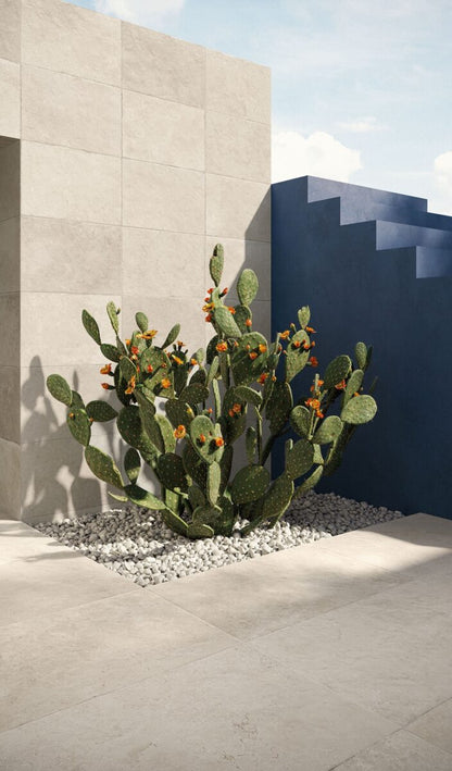 Serenissima & Cir CONT. VAL. 20 CHIANCA STRUCT.