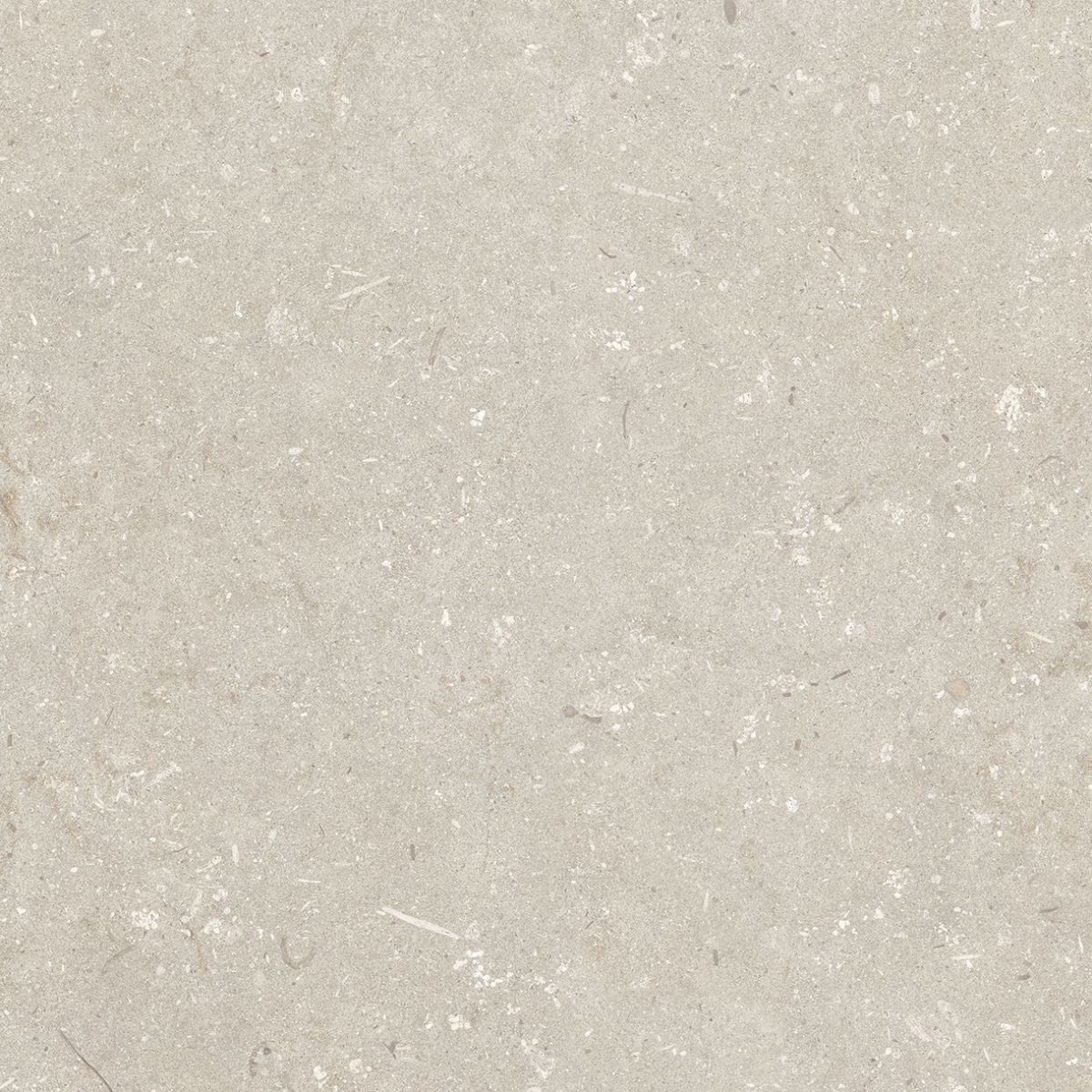 Outdoor Concept SHELLSTONE (20MM) BEIGE STRUCT. main image