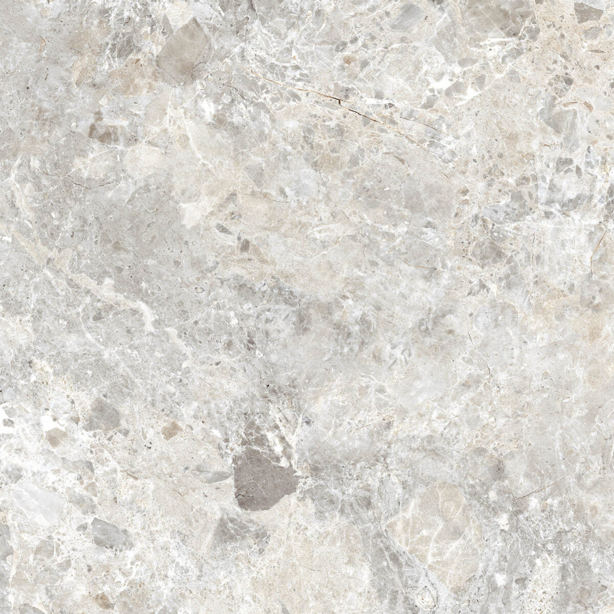 Cerdomus BRECCIA PARADISO SILVER NAT. main image