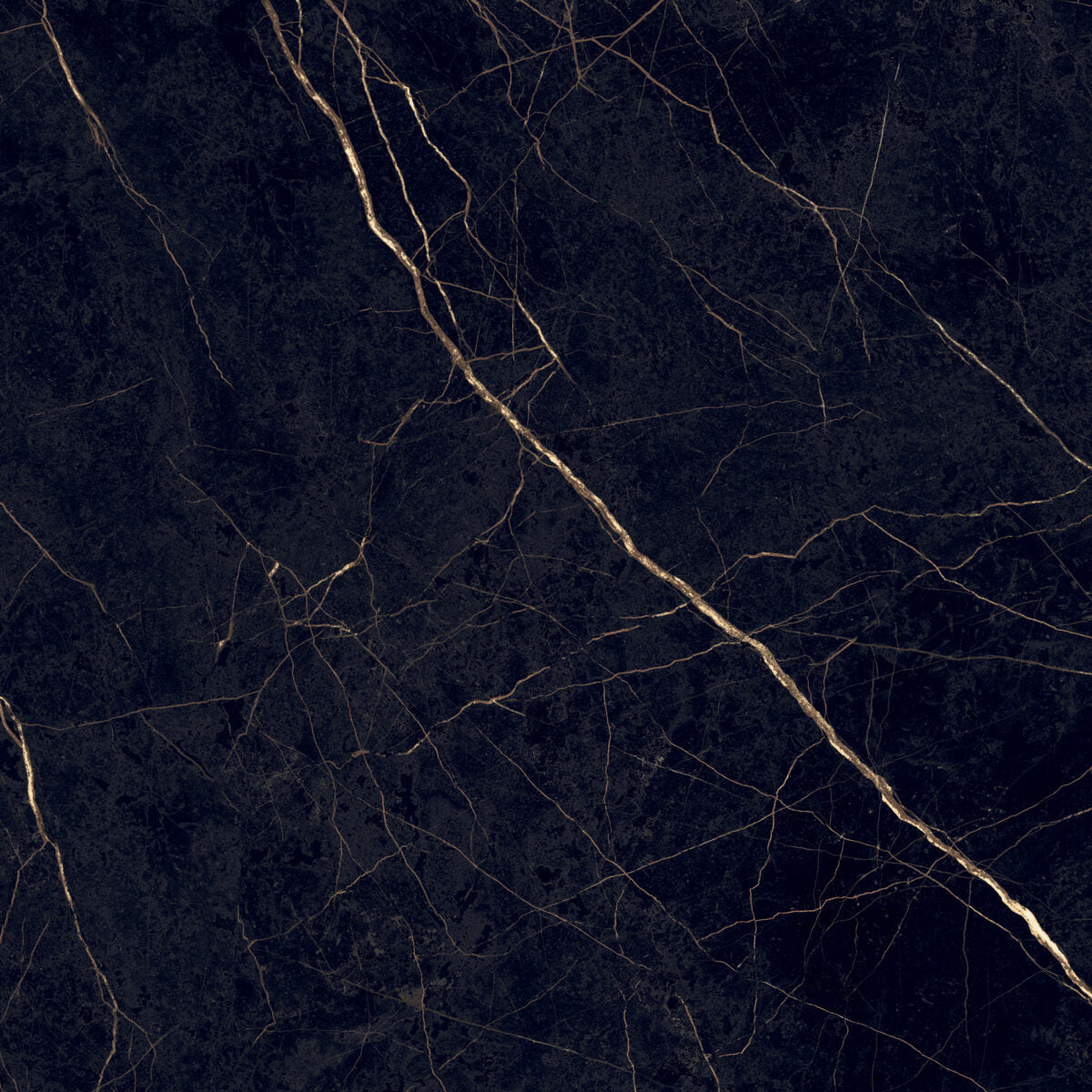 Flaviker SUPREME EVO NOIR LAURENT NAT. main image