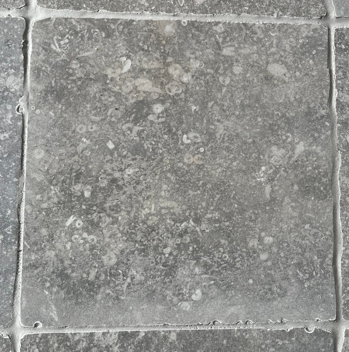 Cerdomus NORDENN GRIGIO NAT. main image