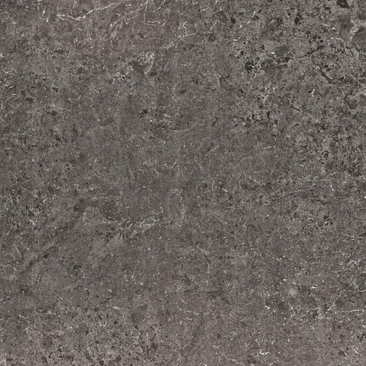 Serenissima & Cir CONCRETA ANTRACITE NAT. main image