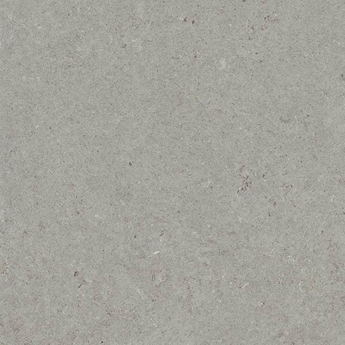 Panaria SURROUND (20MM) SHAPE STRUCT. main image