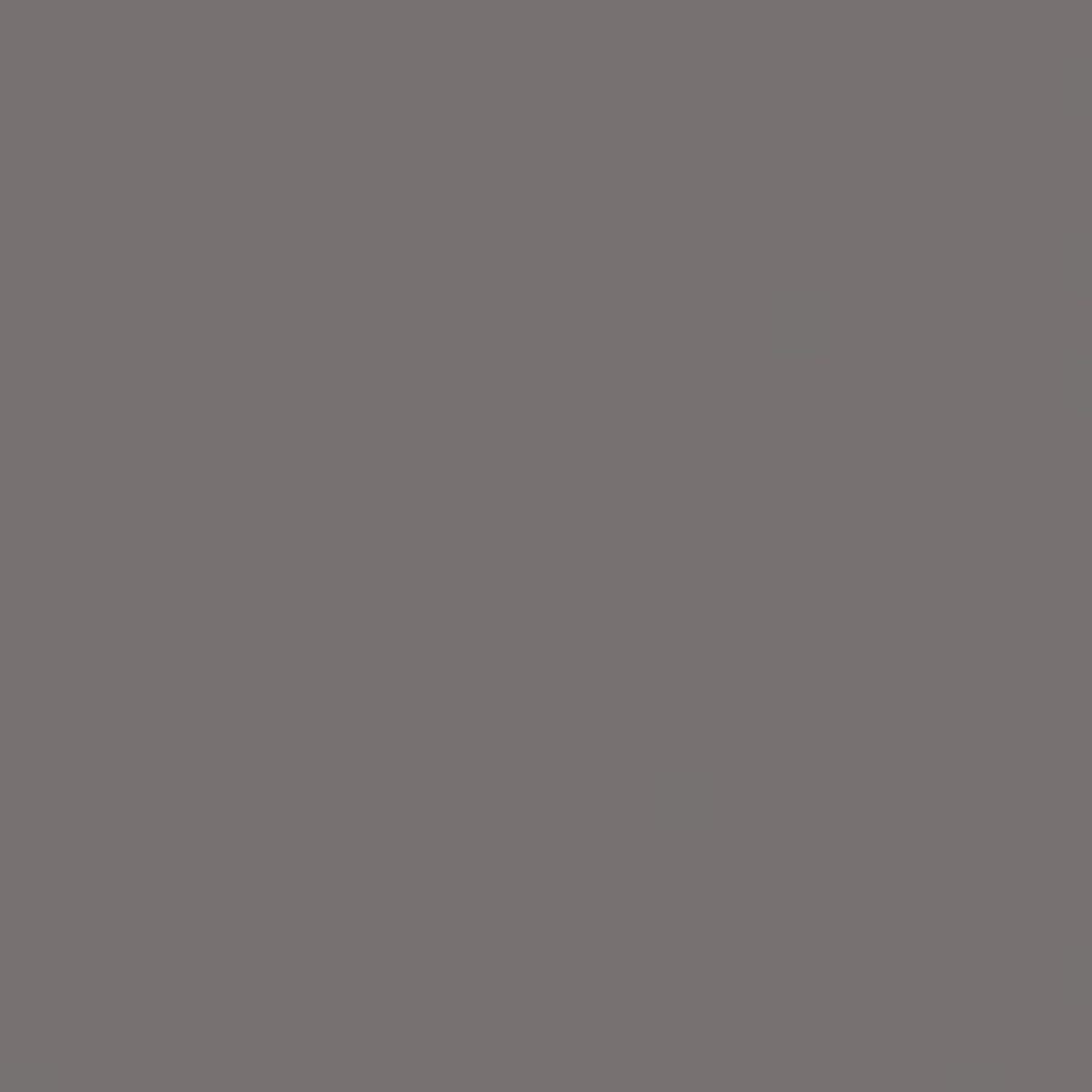 Lasselsberger COLOR ONE DONKERGRIJS BLINK. main image