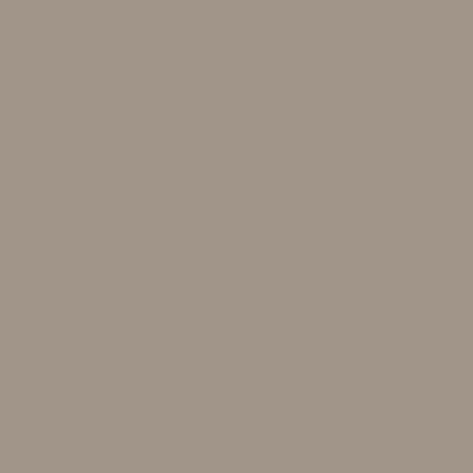 Lasselsberger COLOR ONE BEIGE-GRIJS BLINK. main image