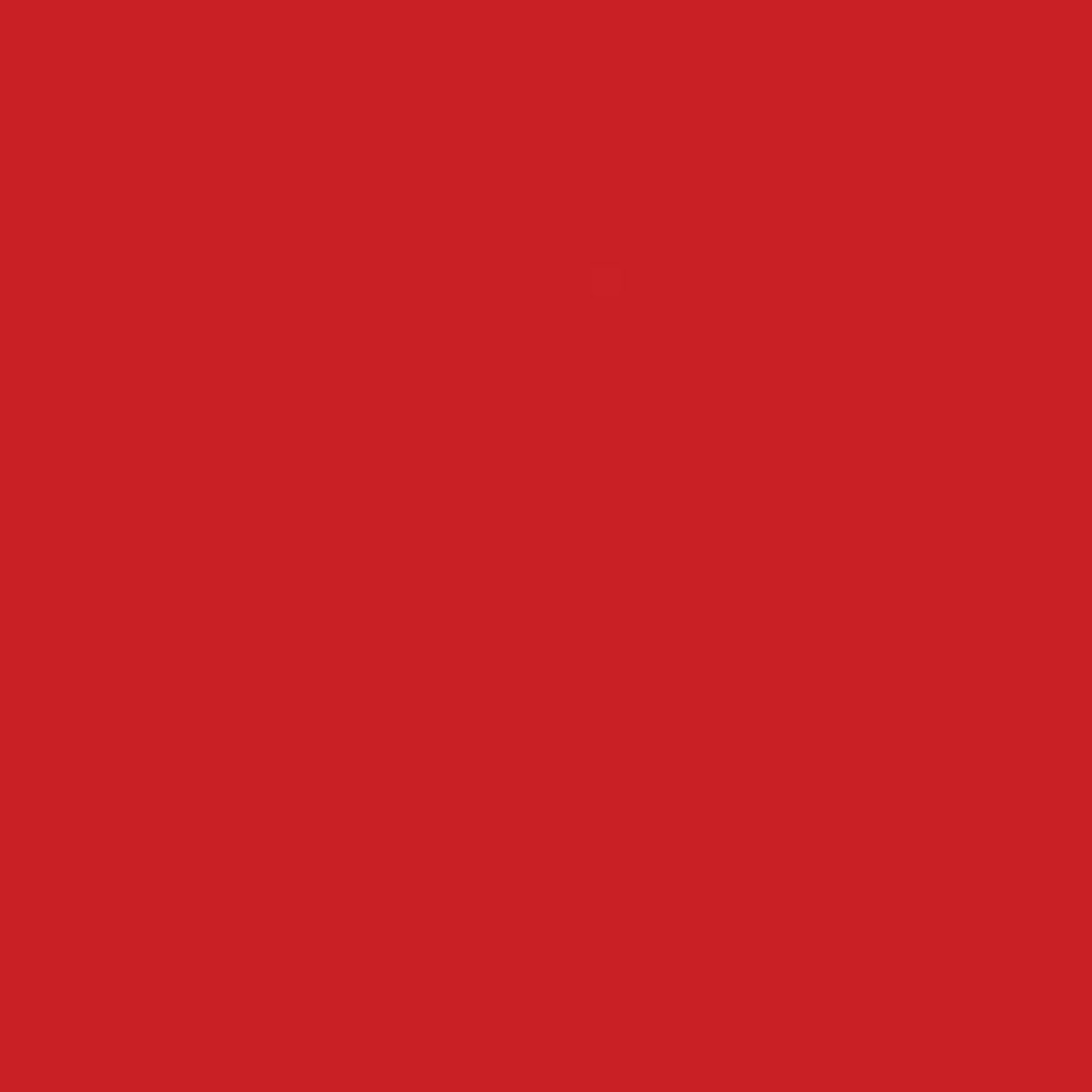 Lasselsberger COLOR ONE ROOD BLINK. main image